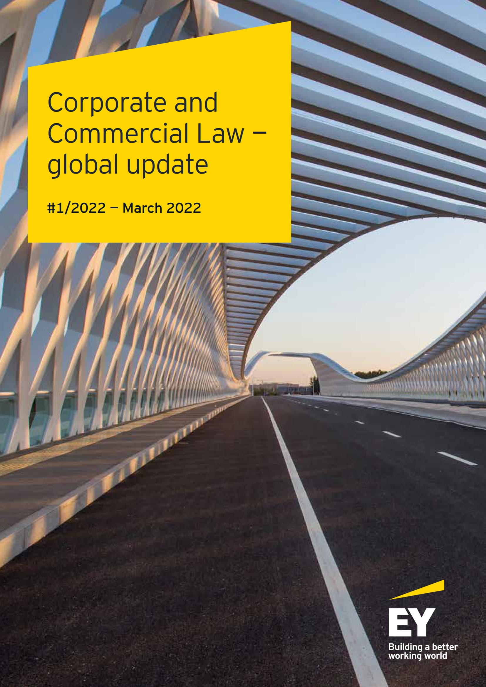 Corporate and Commercial Law - global update No 1/2022